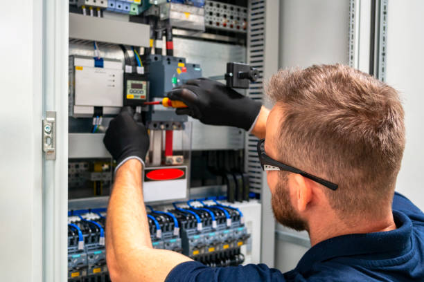 Best Ceiling Fan Installation Electrician  in Birdsboro, PA