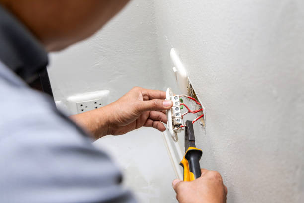 Best Licensed Electrician  in Birdsboro, PA