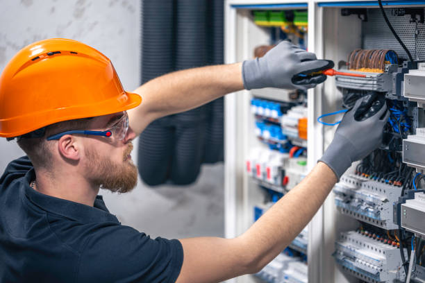 Best Local Electrician Companies  in Birdsboro, PA
